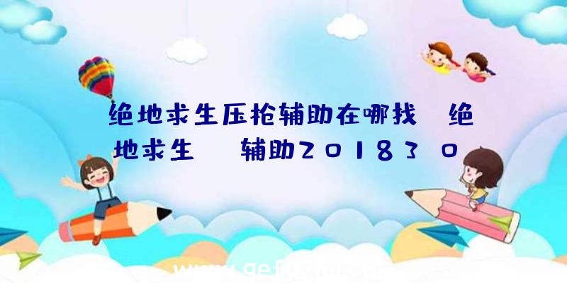 「绝地求生压枪辅助在哪找」|绝地求生sng辅助20183.09